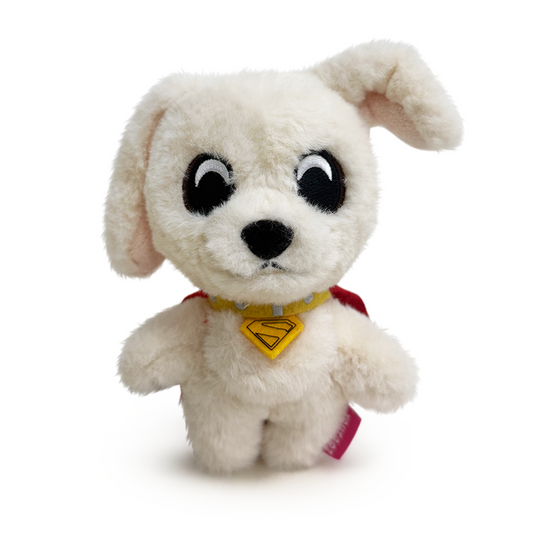 Krypto Schlüsselanhänger (12,7 cm)