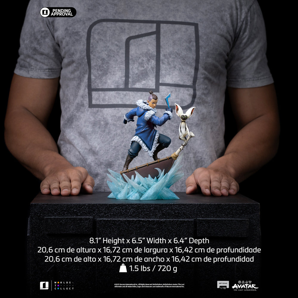 Statue Sokka - Avatar: The Last Airbender - Art Scale 1/10