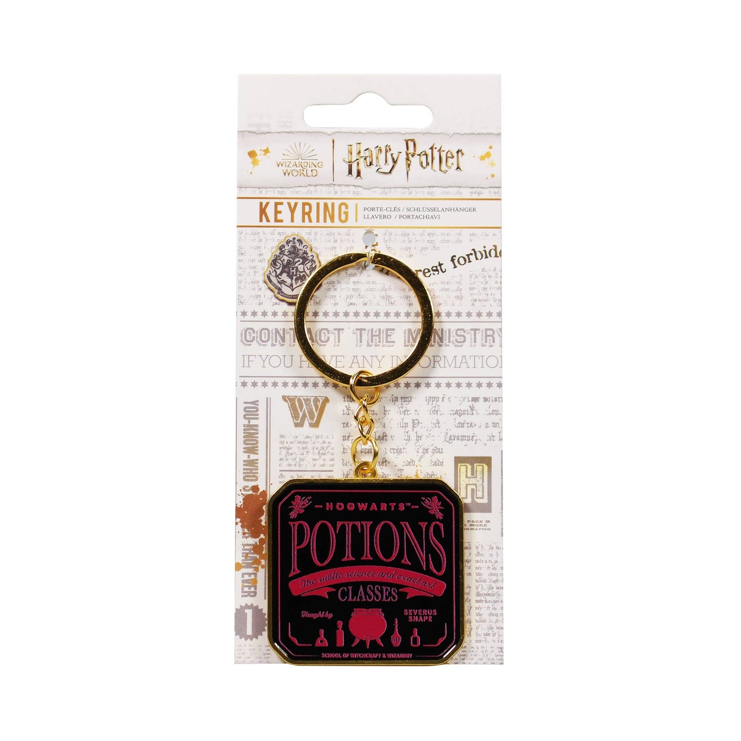 Harry Potter Schlüsselanhänger - mit Headcard Potions