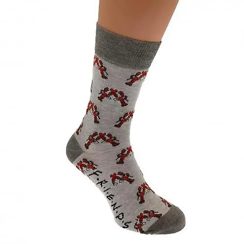 Chaussettes FRIENDS - Homard – vue produit 2