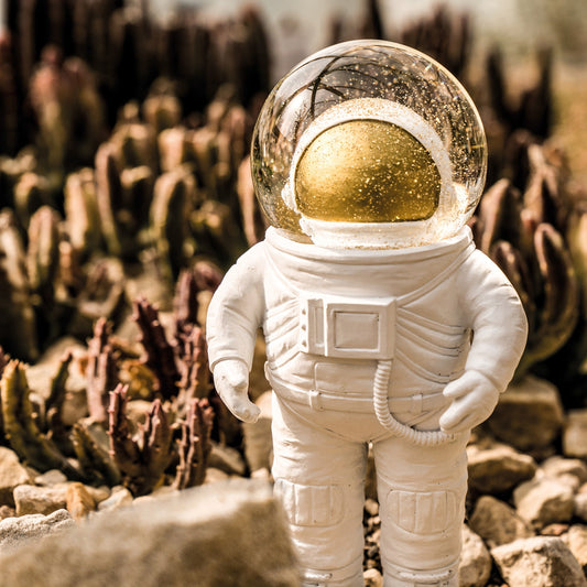 Boule à Neige Astronaute Donkey