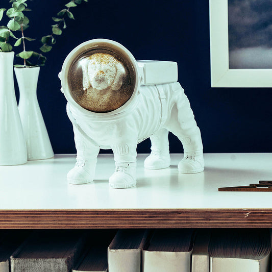 Boule à Neige Chien Astronaute Donkey