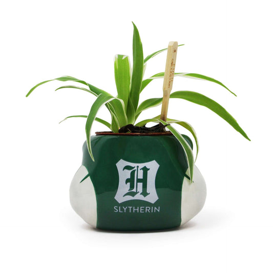 Harry Potter flower pot - Slytherin