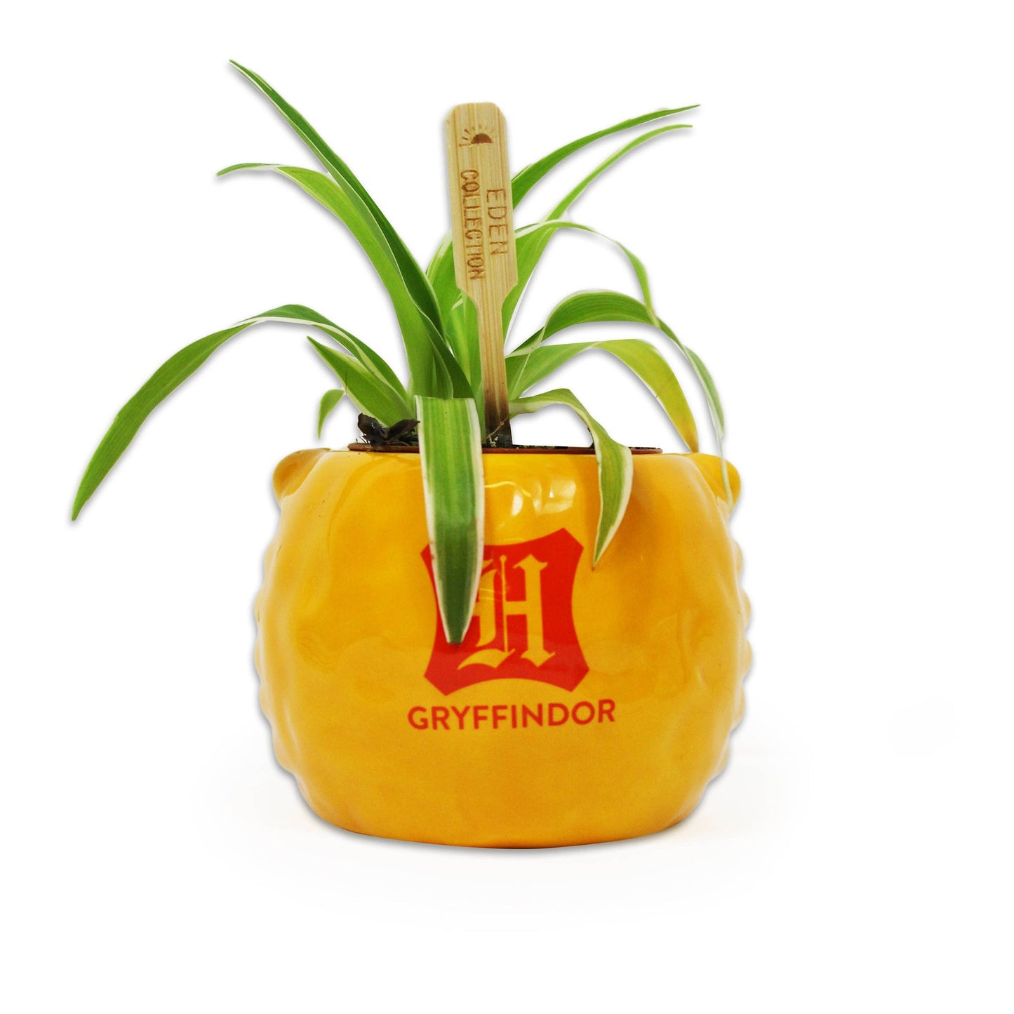 Harry-Potter-Blumentopf – Haus Gryffindor