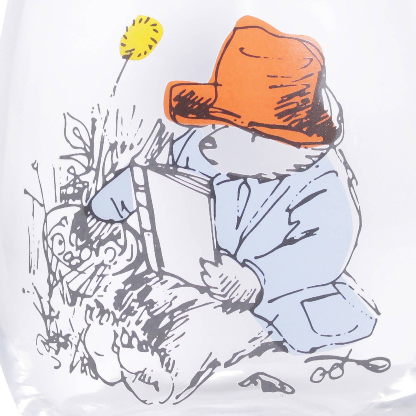 Paddington Glass Box - 550 ml