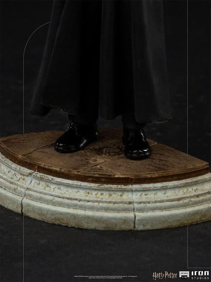 Harry Potter Statue - Harry Potter - Art Scale 1/10