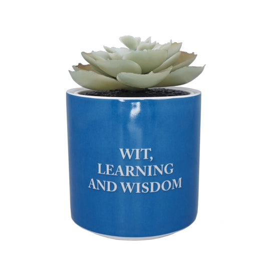 Harry Potter Potted Artificial Plant - Ravenclaw 6.5 cm