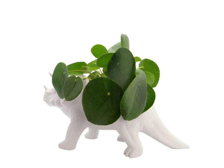 Dinosaurier-Triceratop-Blumentopf