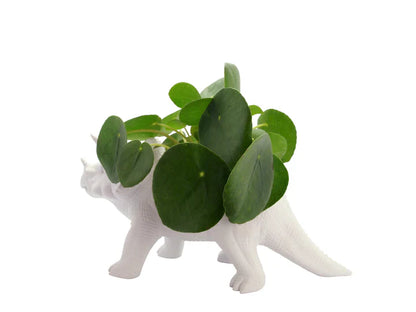 Dinosaurier-Triceratop-Blumentopf