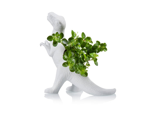 Pot de Fleur Dinosaure Plantosaurus Rex – Bitten
