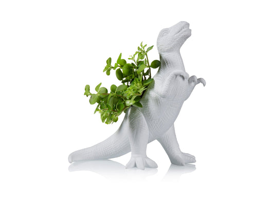Pot de Fleur Dinosaure Plantosaurus Rex – Bitten