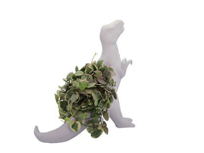 Pot de Fleur Dinosaure Plantosaurus Rex