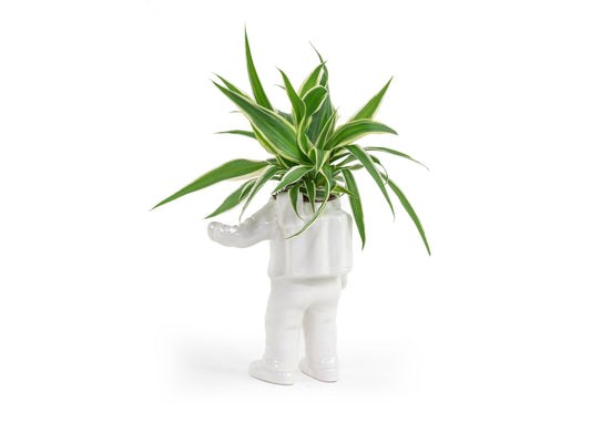 Pot de Fleur Astronaute – Petit – Bitten