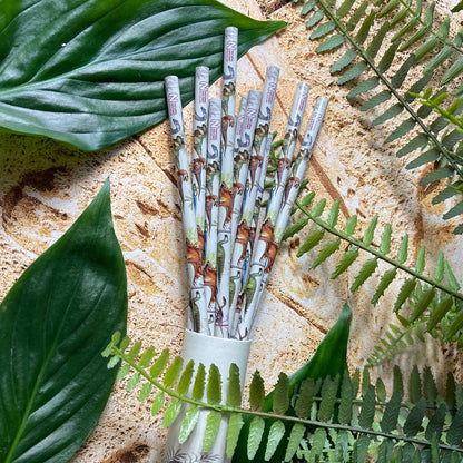 Crayons de – couleur du Musée d'histoire naturelle | Blueprint Collections – vue 7