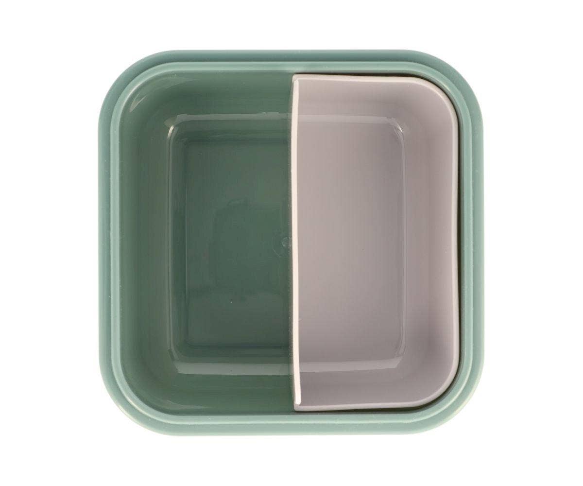 Große Brotdose Dinosaurier-Welt