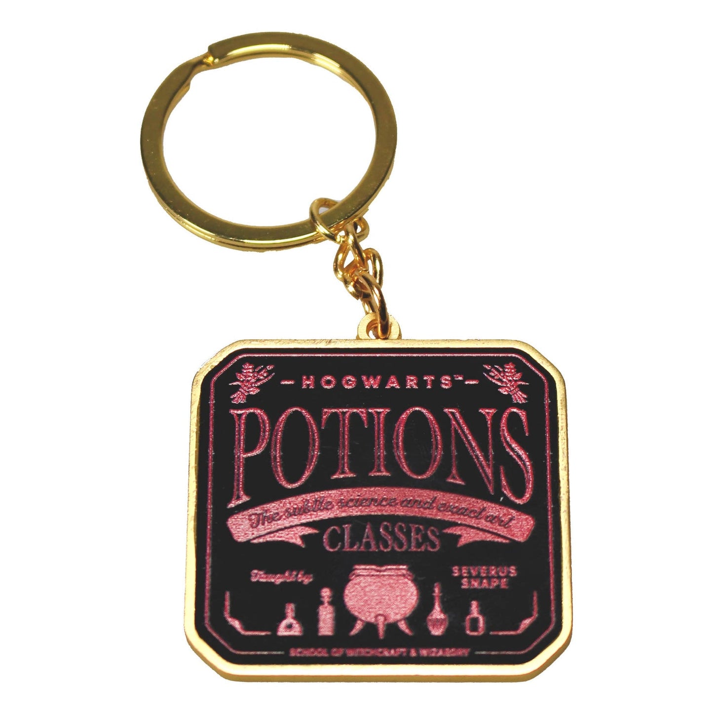 Harry Potter Schlüsselanhänger - mit Headcard Potions