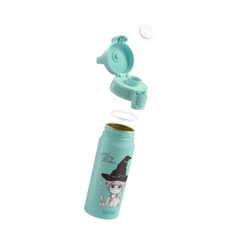 WMB ONE Kids Harry Potter 0.6 L Water Bottle 