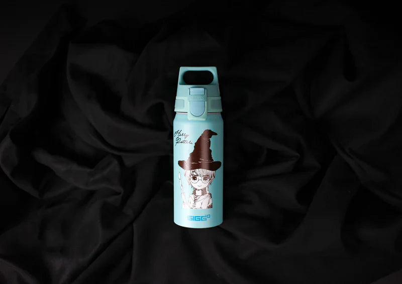 WMB ONE Kids Harry Potter 0.6 L Water Bottle 