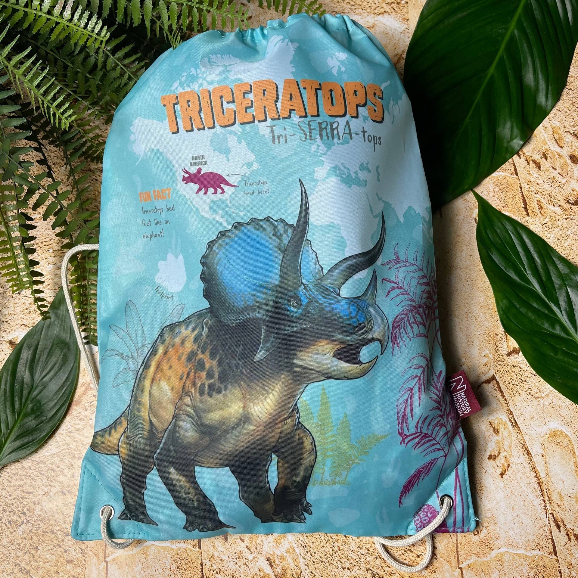 Sac – d'entraînement Natural History Museum | Blueprint Collections – vue 8