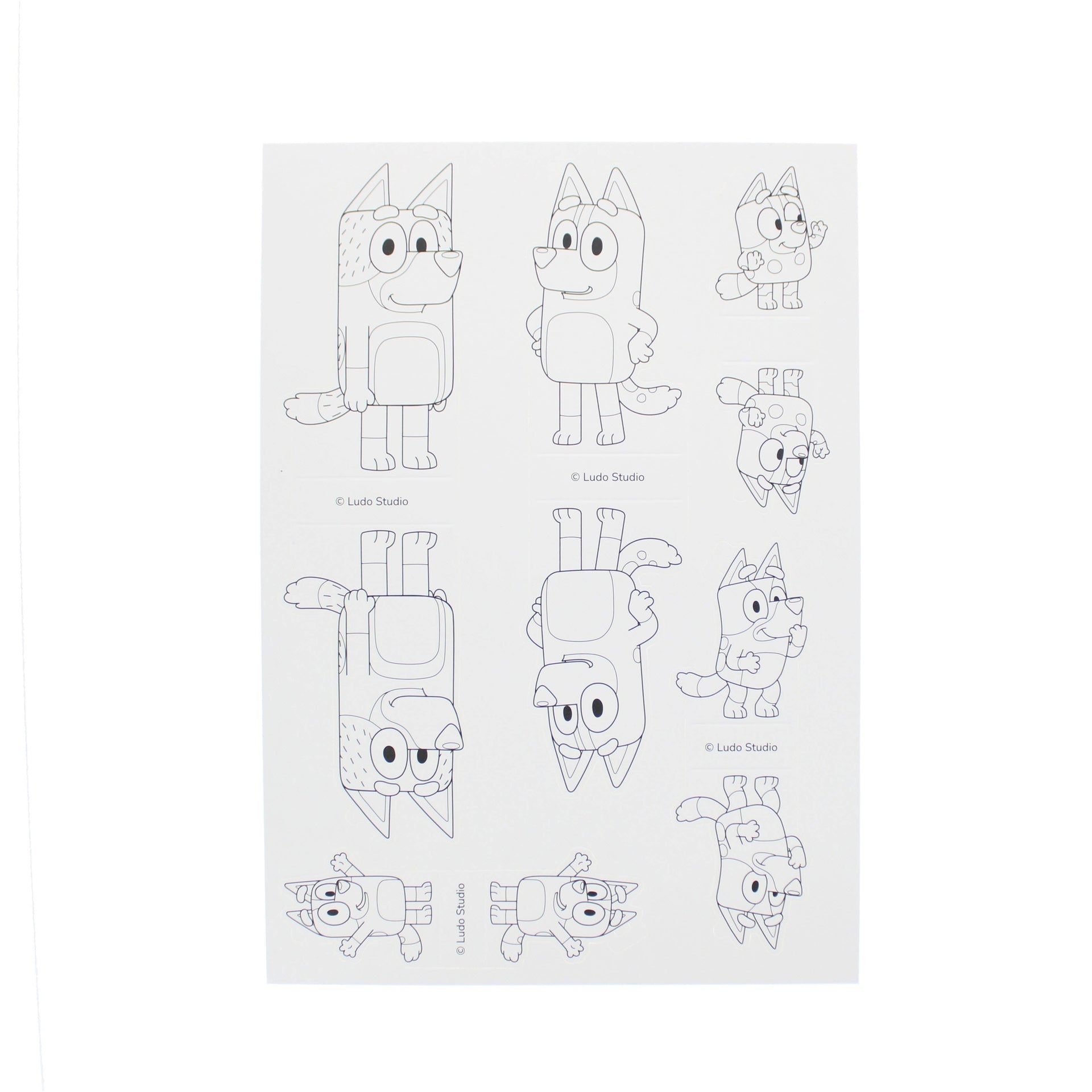 Bluey – Build, Colour and Play | Blueprint Collections – vue 5