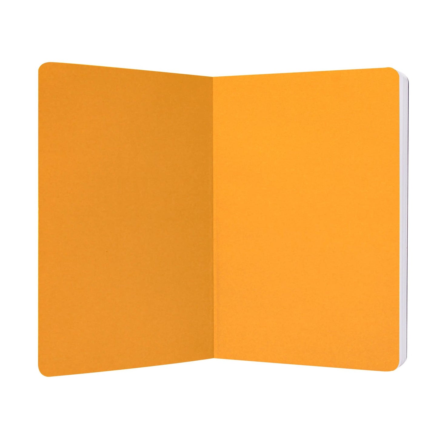 Carnet A5 souple Harry Potter - Gryffondor