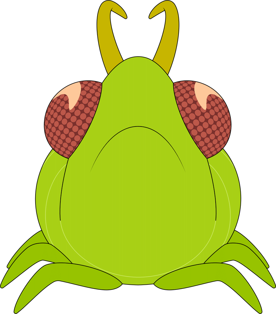 Blattlaus-Plüschtier (23 cm)