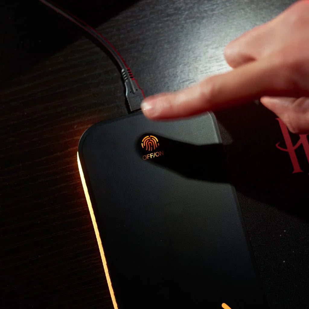 Giant Harry Potter Playmat and Mobile Phone Charger