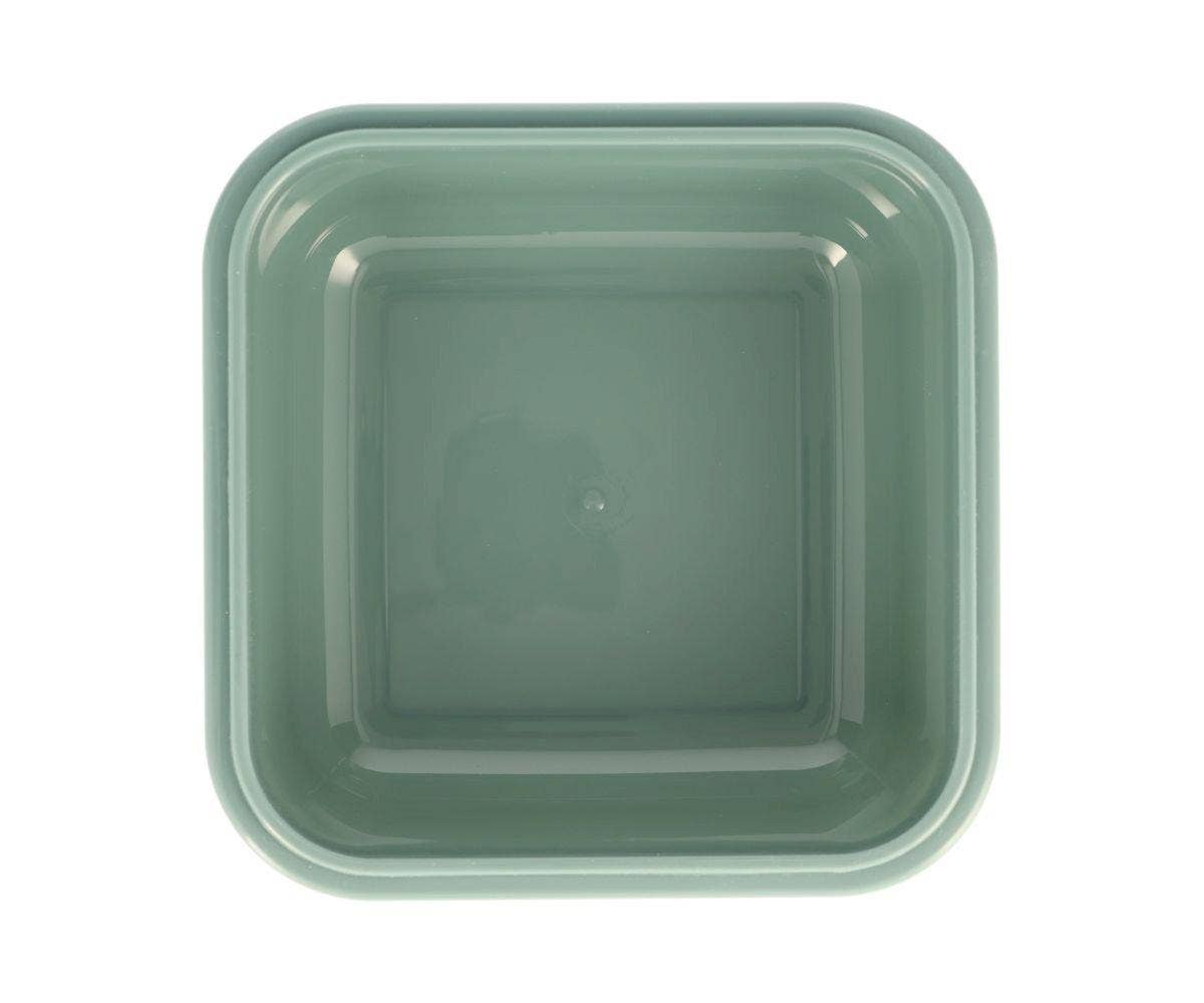 Große Brotdose Dinosaurier-Welt