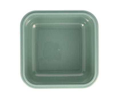 Große Brotdose Dinosaurier-Welt