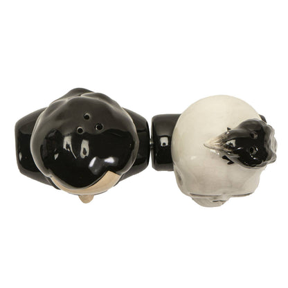 Salt and pepper Edgar Allan Poe
