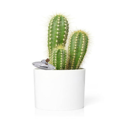 UFO-Autonomer Sprinkler