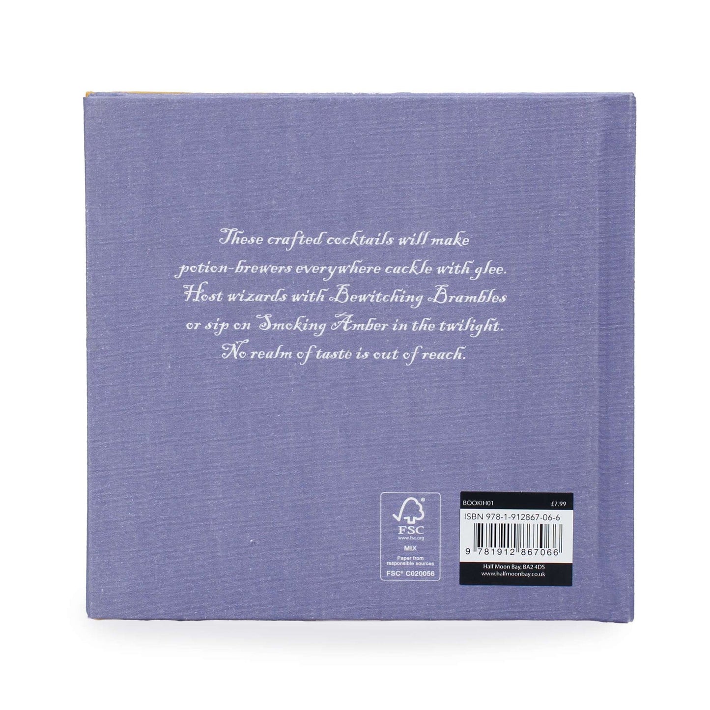 Harry Potter School of Alchemy Potent Potions Gift Book
