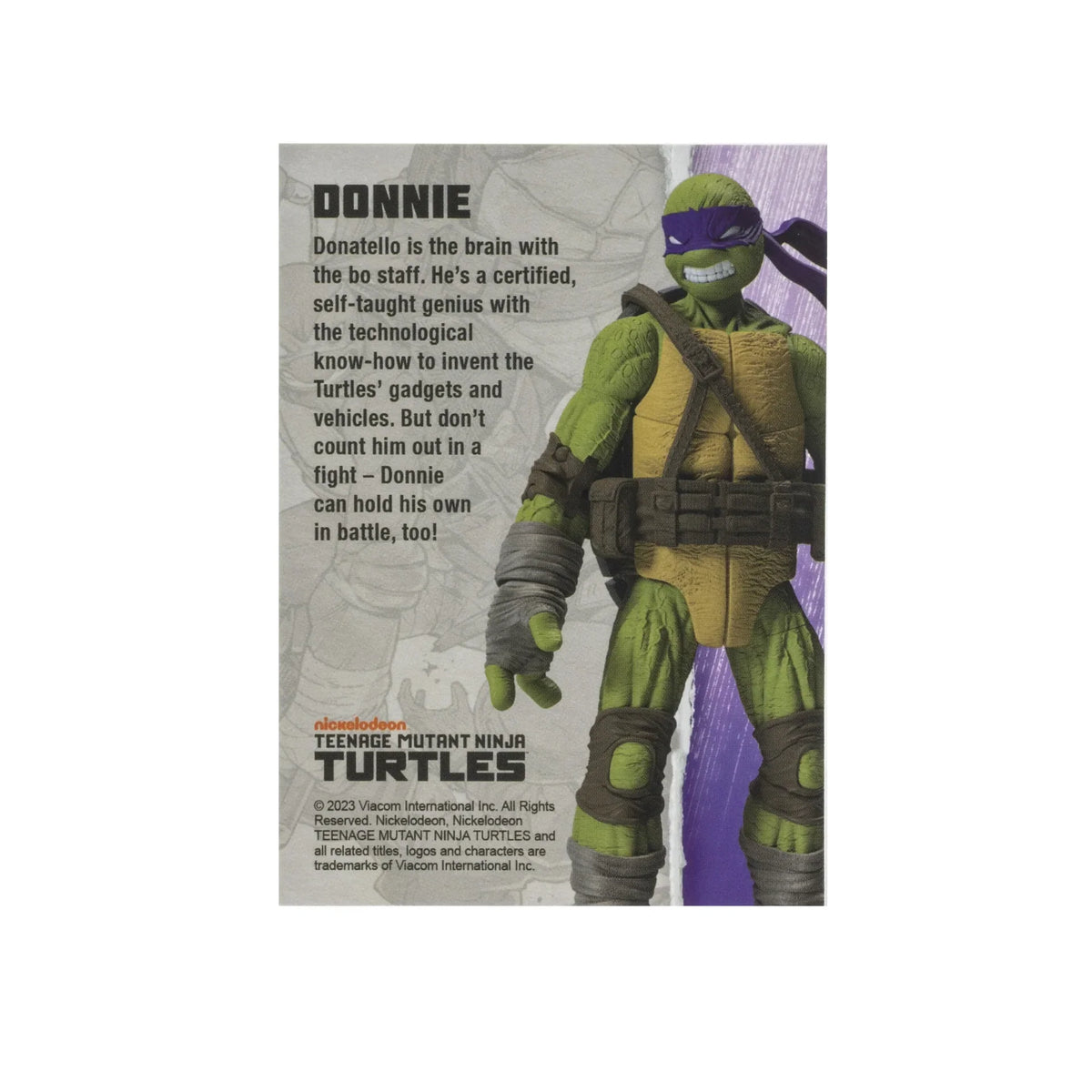 Figurine BST AXN Donatello IDW Comics 13 cm - Tortues Ninja
