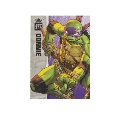 Figurine BST AXN Donatello IDW Comics 13 cm - Tortues Ninja