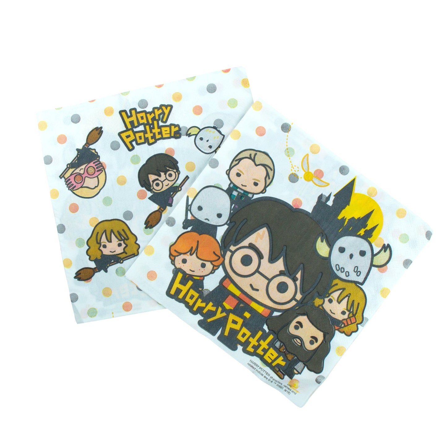 *Pack d'anniversaire Harry Potter Personnages