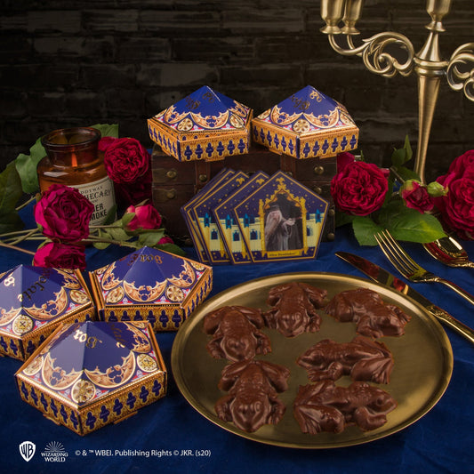 Moule à Chocogrenouilles + 12 cartes magiques + 6 boîtes Chocogrenouille (nouvelle édition)
