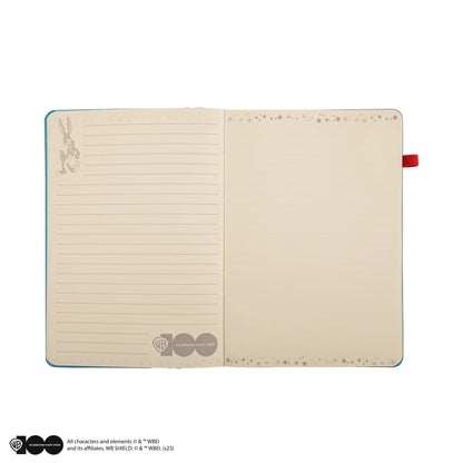 *Set Carnet et Stylo Deluxe Looney Tunes