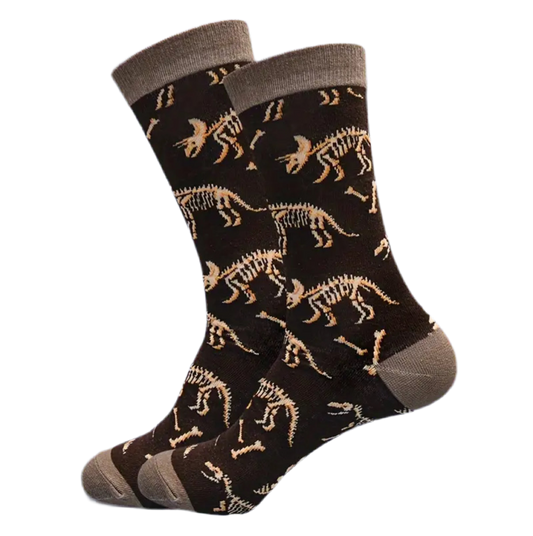 Chaussettes Fossiles de Dinosaures