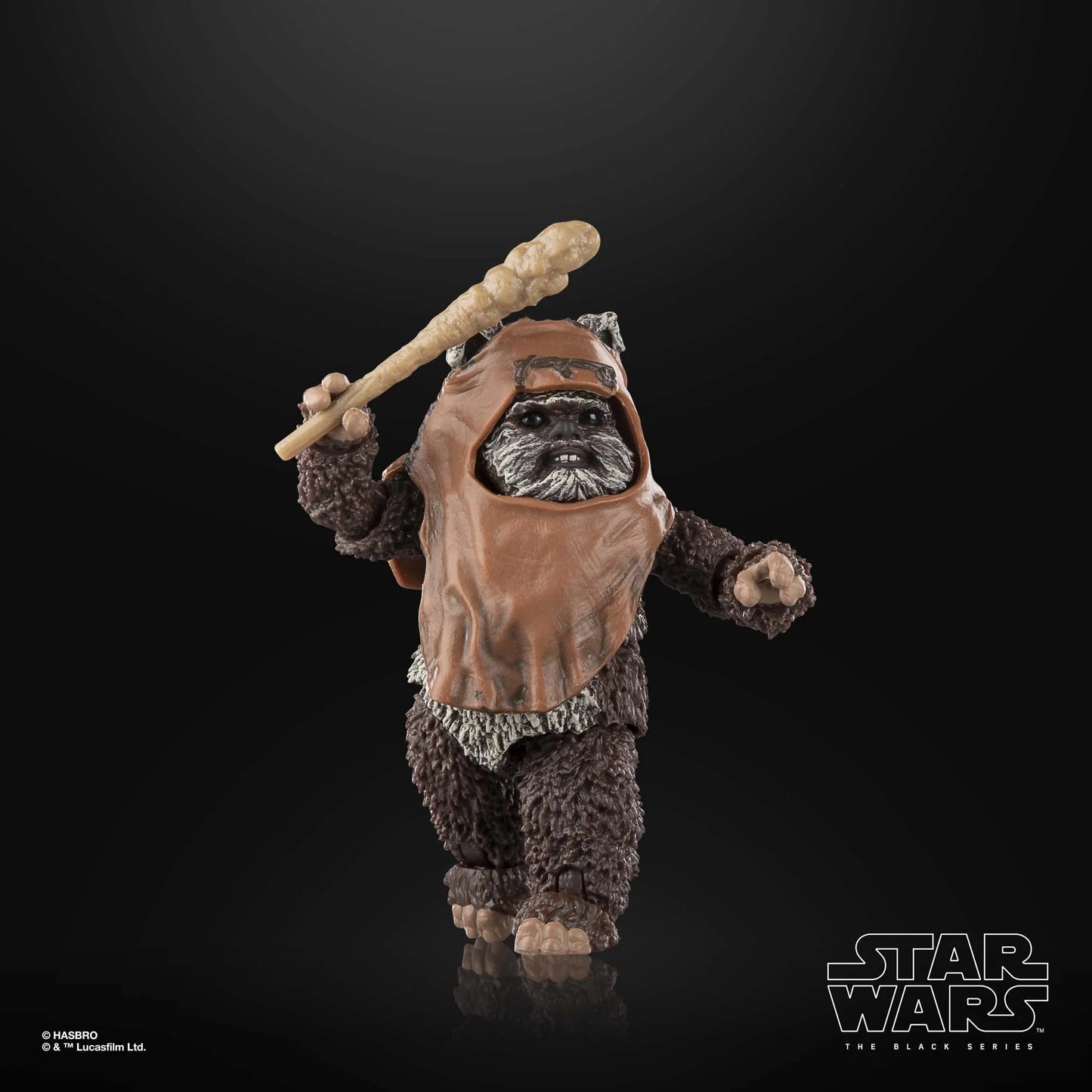 Wicket W. Warrick - The Black Series Figure 