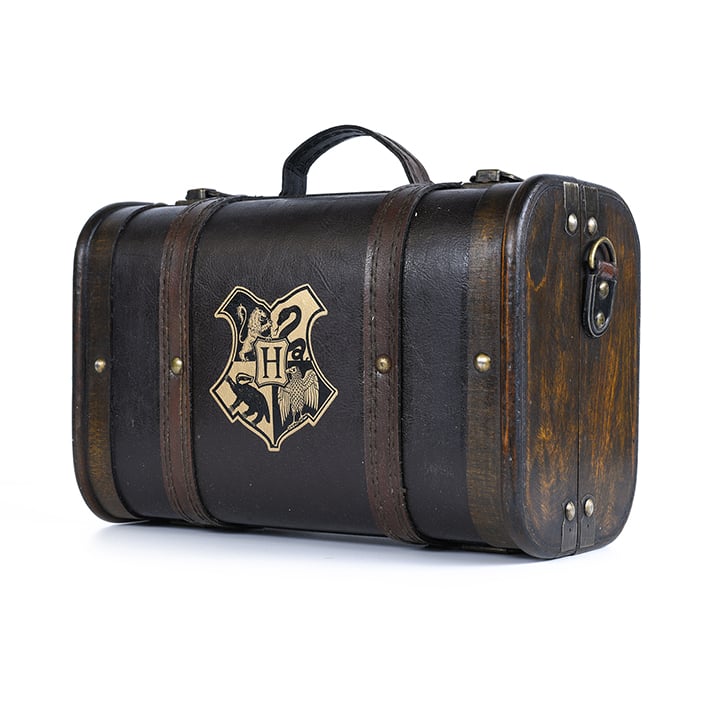 Coffret Cadeau Harry Potter - Valise Trouble Finds Me