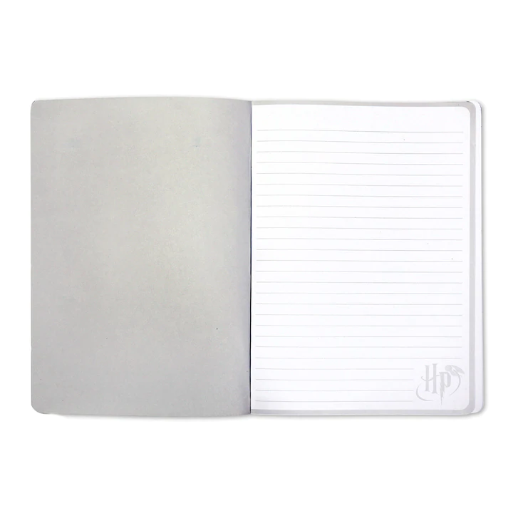 Harry Potter Notizbuch – Blitz und Brille 