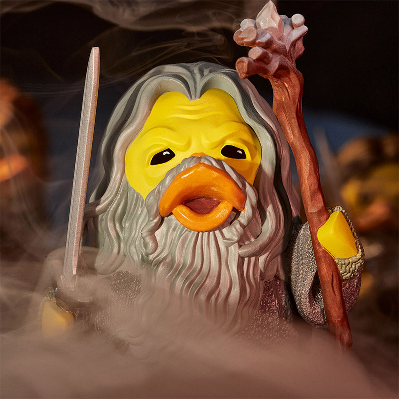 Duck Gandalf "You shall not pass!"