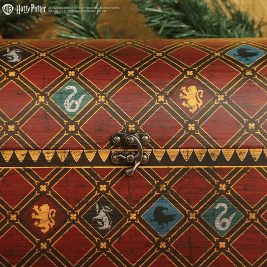 *Calendrier de l'Avent Deluxe Quidditch