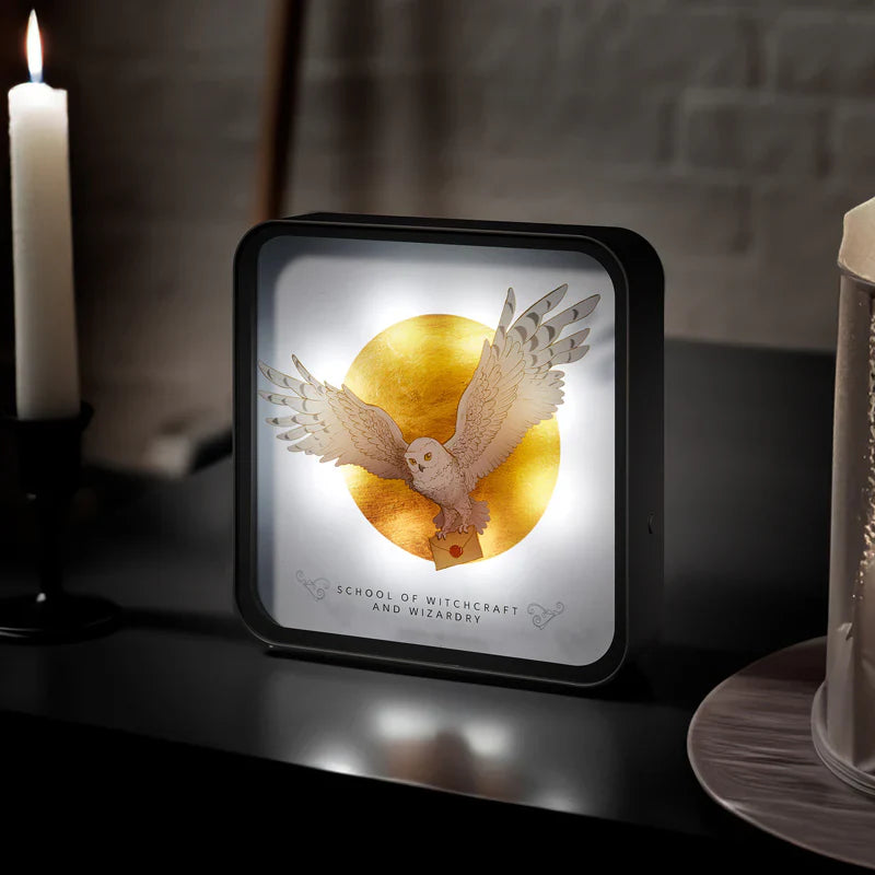 Harry Potter 3D-Lampe - Hedwig