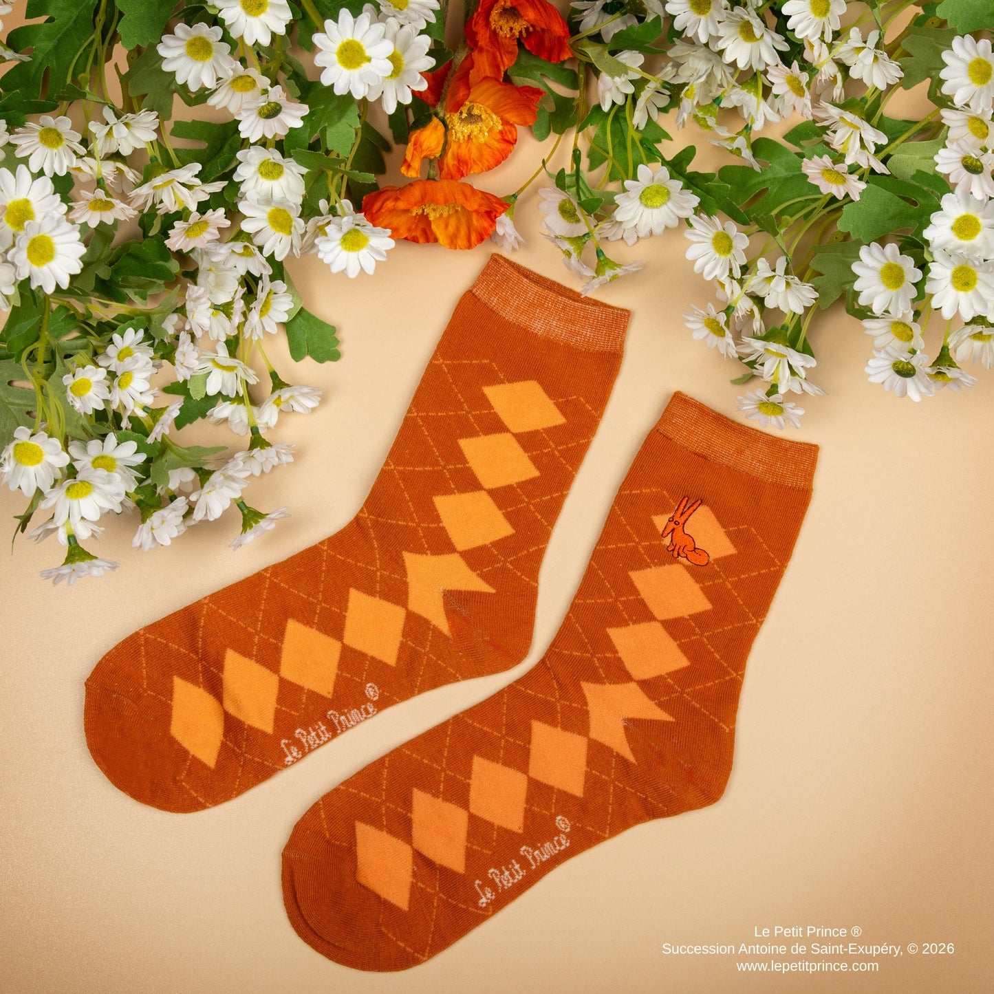 Set of 3 Pairs of The Little Prince Socks