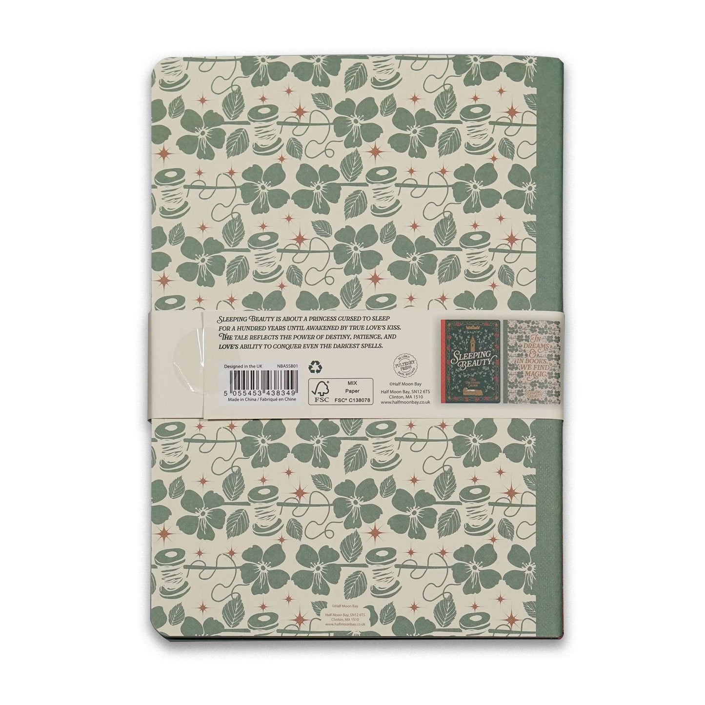 Set of 2 A5 Sleeping Beauty notebooks