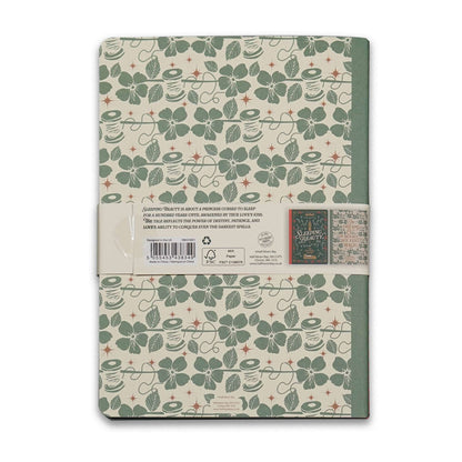 Set of 2 A5 Sleeping Beauty notebooks
