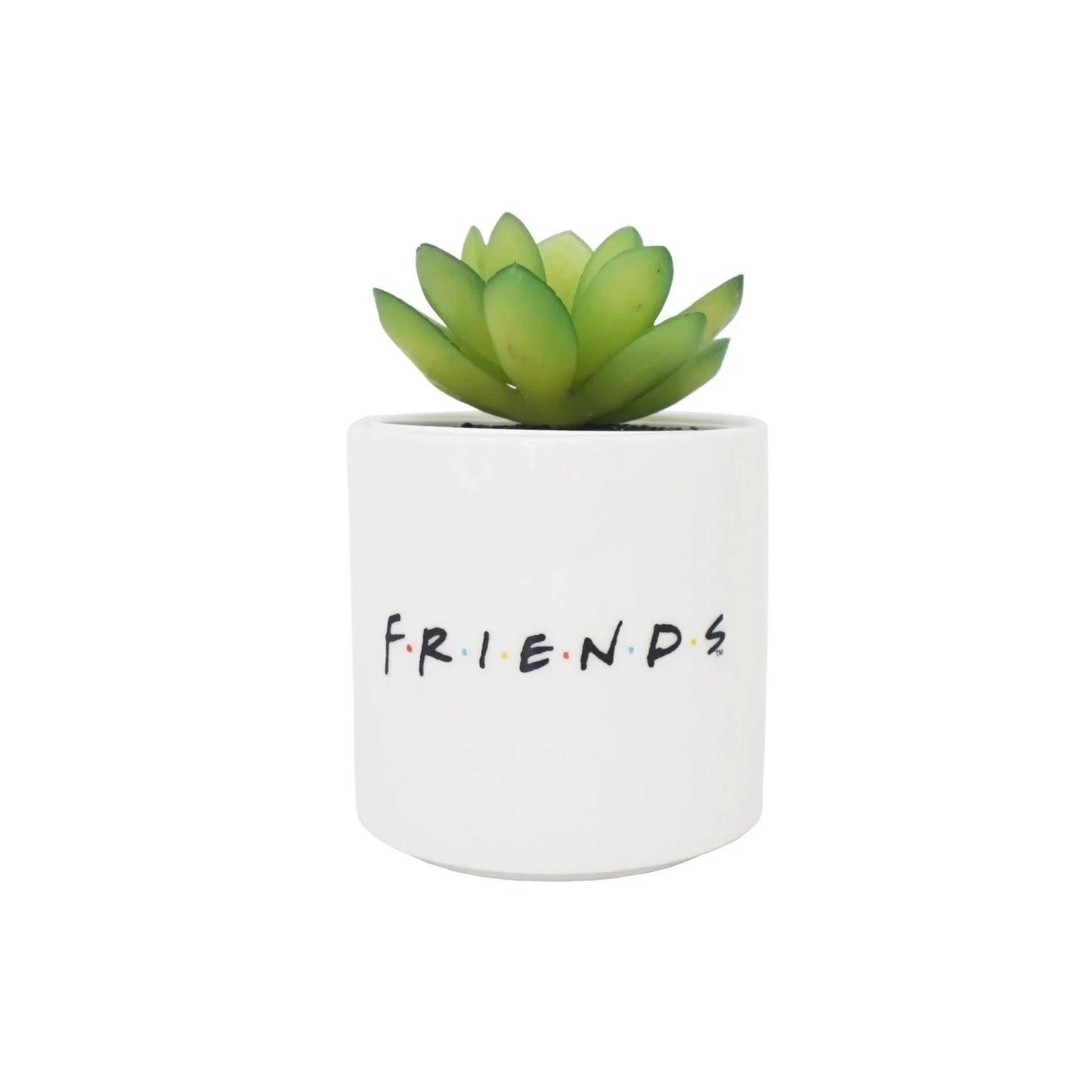 Topf mit Fake Plant Friends – Central Perk