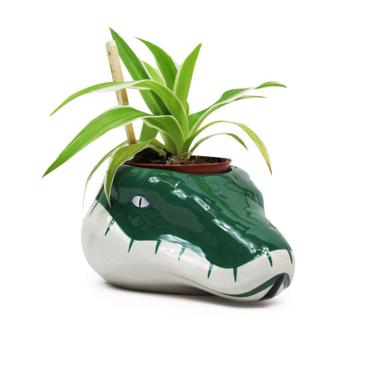 Harry Potter flower pot - Slytherin