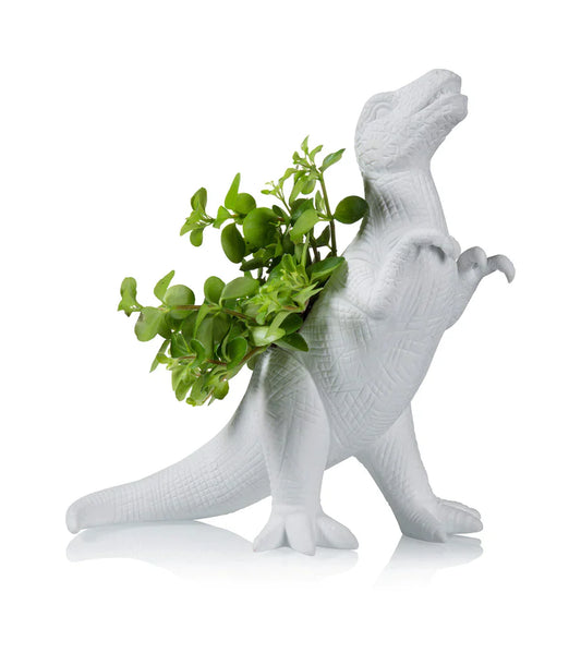 Pot de fleur Dinosaure Plantosaurus Rex Bitten – Cache-pot original